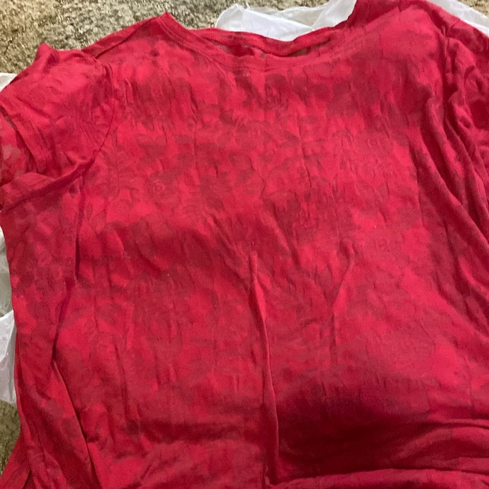 Red See-through top